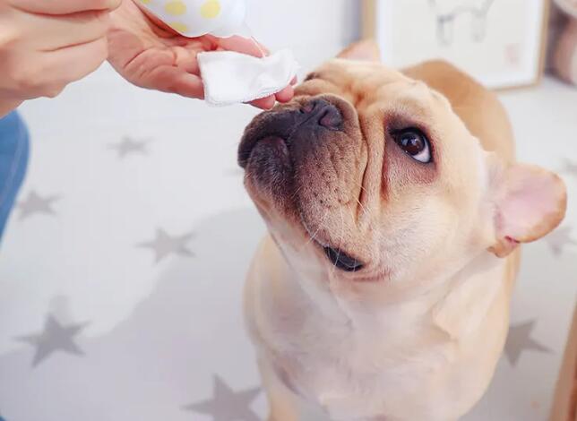 寵物用品進口報關關稅稅率(寵物用品進口關稅是多少?)