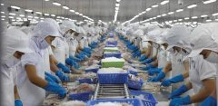 8月巴沙魚進口量暴跌60%！近半數越南巴沙魚工廠停產！