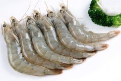 【海鮮動態】我國進口33998噸厄瓜多爾白蝦,單價比去年暴增30%！