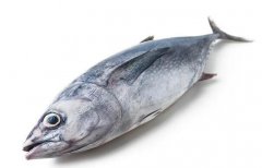 曼谷金槍魚價格繼續(xù)上漲，12月均價超過厄瓜多爾！