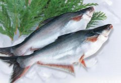 中國(guó)進(jìn)口越南巴沙魚(yú)蝦等水產(chǎn)品波動(dòng)明顯,未來(lái)走勢(shì)難以預(yù)測(cè)！